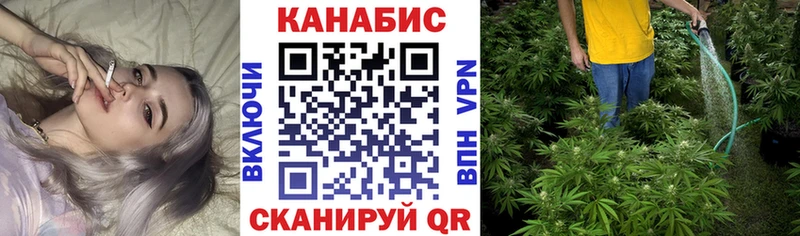 Каннабис план  hydra онион  Поронайск  где купить наркоту 